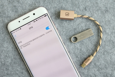手机不支持插存储卡？不怕，有OTG线的“优美”帮忙